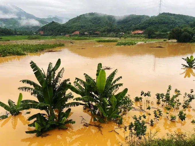 Flooding is seen after heavy rain in Bao Yen Commune of Lao Cai Province on September 13 lut-6316-2523.jpg