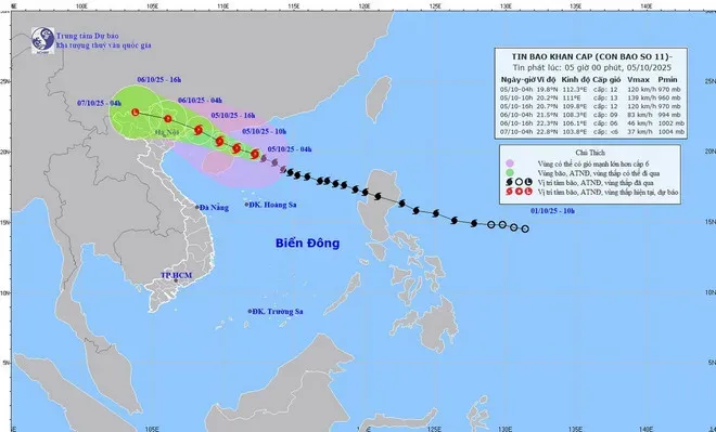 bao11-3731-3202.jpg