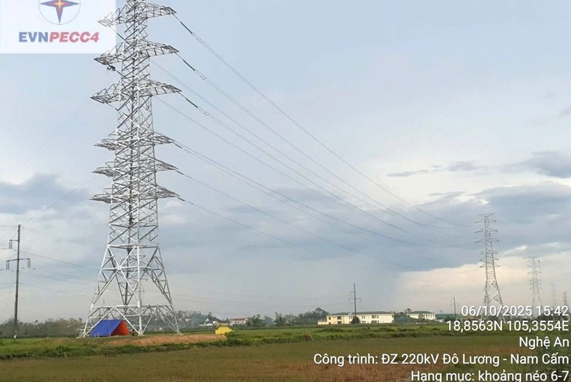 Do Luong–Nam Cam 220 kV transmission line project (Photo: VNA) anh3thicongtuongduong7102025-20251007105631.jpg