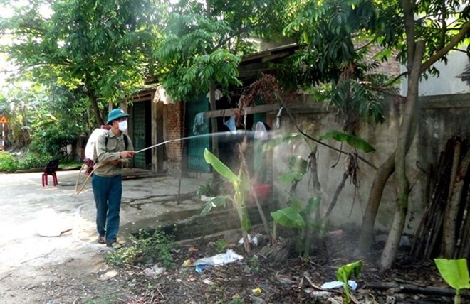 The Department of Preventive Medicine under the Ministry of Health has proposed measures to prevent diseases during the rainy season. (Photo baovinhphuc.vn)