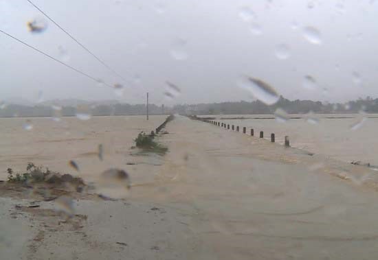 The central region will continue suffering heavy rains in next couple days.