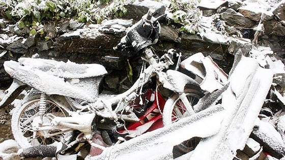 Frost appears in the northern region of Vietnam