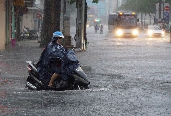 Central Highlands and Southern regions suffer heavy downpours