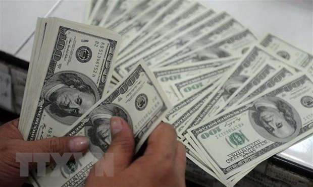 The State Bank of Vietnam set the daily reference exchange rate at VND 23,054 per USD on June 10, down VND 4 from the last working day of previous week (June 7) (Photo: VNA)