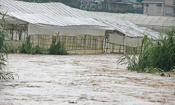 Da Lat braces for historical record-breaking rainfall several day