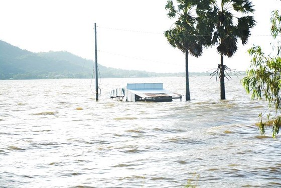 Currently, the upstream flood water level on the Mekong River is rising rapidly over alarm level 1. 