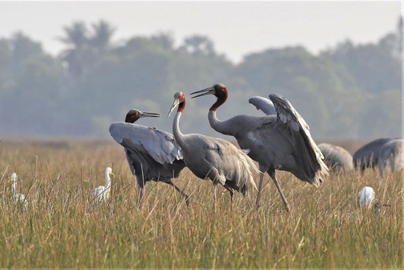 Photography exhibition “Moment of Nature” open in Hanoi