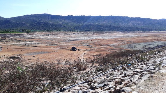 Many reservoirs in Ninh Thuan Province have  been in shortage water during recent months