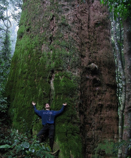 Pu Mat National Park 