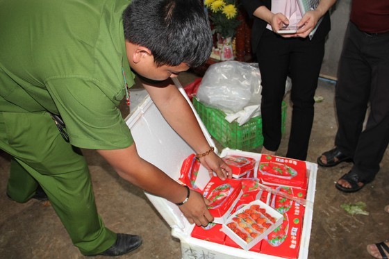 The functional forces discover foam boxes containing smuggled fresh strawberries 