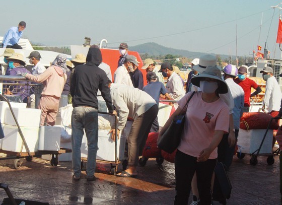 Quang Ngai increases ships picking up over 2,000 tourists from Ly Son Island