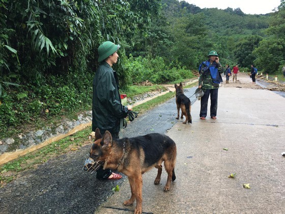 Rescuers find 14 dead bodies out of 22 missing soldiers in Quang Tri ảnh 2