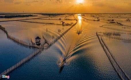 The wetland area in Thua Thien-Hue (Photo: zing.vn)