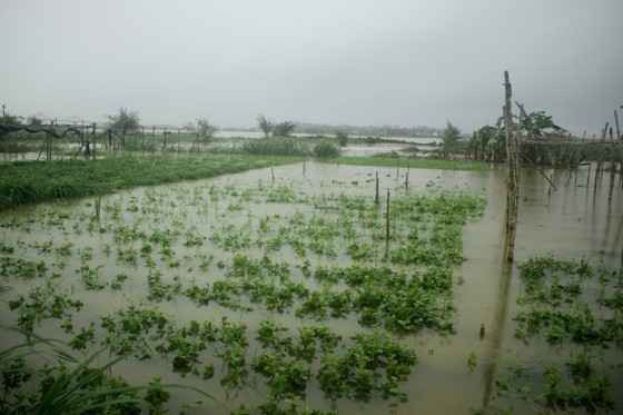 Landslides hit Quang Ngai, isolating 400 households ảnh 2 Landslides hit Quang Ngai, isolating 400 households ảnh 2