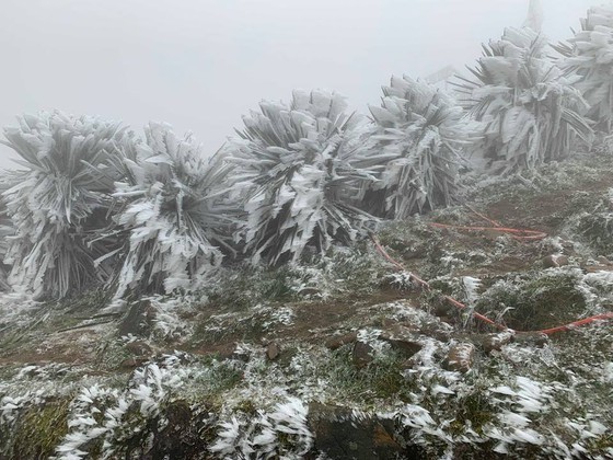 Snow-and-ice covered places (Photo: the National Hydrology Meteorology Forecast Center)