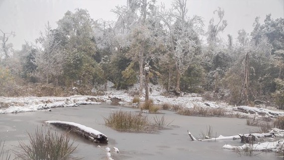 Gelid cold returns Northern, Central regions