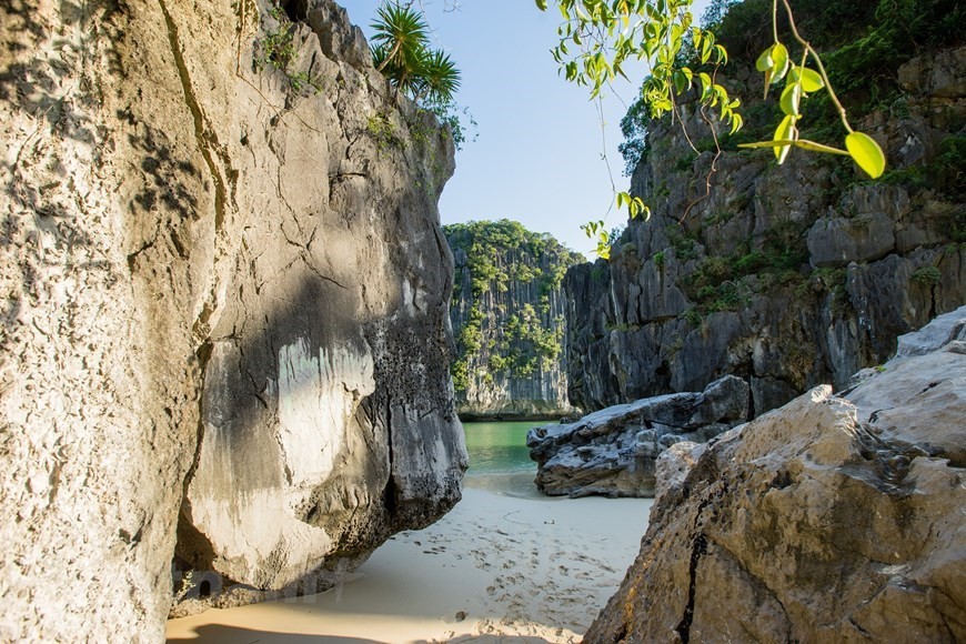 Can’t-miss spots for Cat Ba sightseeing tour ảnh 6 Can’t-miss spots for Cat Ba sightseeing tour ảnh 6