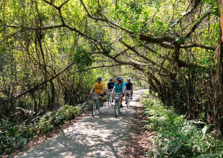 Can’t-miss spots for Cat Ba sightseeing tour ảnh 7 Can’t-miss spots for Cat Ba sightseeing tour ảnh 7