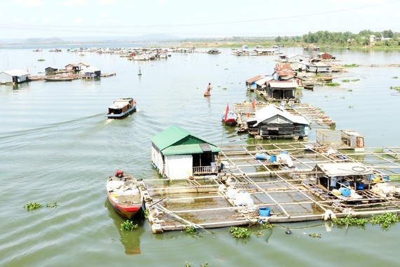 Tri An Lake faces pollution challenge