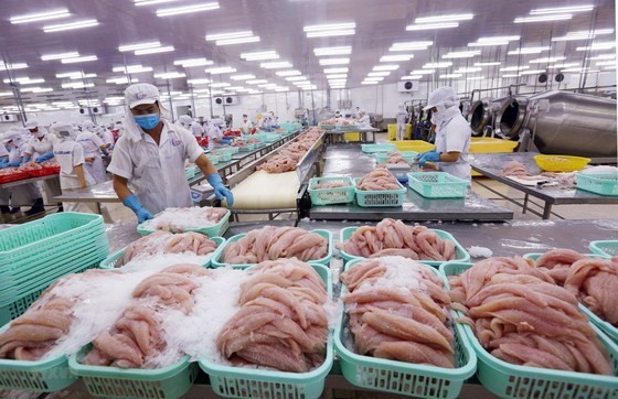 Vietnam, Russia continue to strengthen mutual export, import activities ảnh 2 Vietnam, Russia continue to strengthen mutual export, import activities ảnh 2