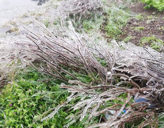 Northern, Central regions to enjoy cold Christmas weekend ảnh 1 Northern, Central regions to enjoy cold Christmas weekend ảnh 1