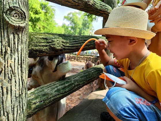 Saigon Zoo & Botanical Gardens, familiar destination during summer ảnh 1 Saigon Zoo & Botanical Gardens, familiar destination during summer ảnh 1