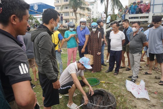 Locals rush to catch fish after storm Noru in Da Nang  ảnh 12