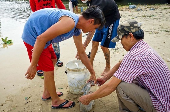 Locals rush to catch fish after storm Noru in Da Nang  ảnh 11