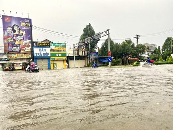 Downstream parts of Mekong Delta experience largest tidal wave this year ảnh 2 Downstream parts of Mekong Delta experience largest tidal wave this year ảnh 2