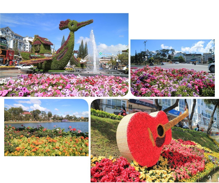 Da Lat flower space, int’l flower expo open