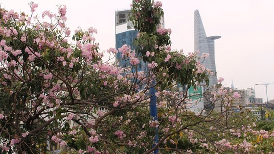 Illustrative photo: Dinh Du