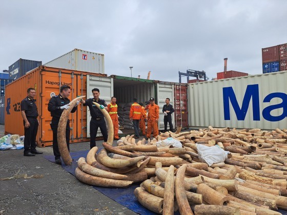 The funtional forces seized seven tons of ivory smuggled from Angola on March 20.