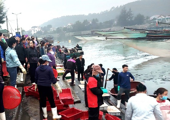 The hustle and bustle activities at the fish market start when fishing vessels flock to the wharf The hustle and bustle activities at the fish market start when fishing vessels flock to the wharf