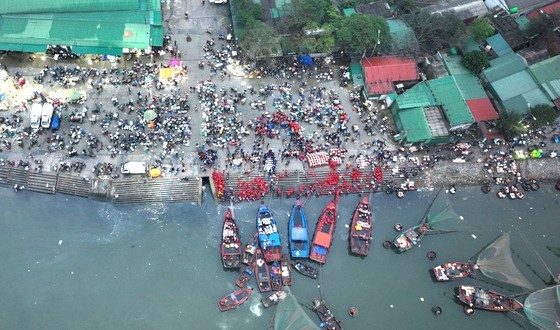 Nghi Thuy fish market is one of the largest and busiest ones in the North-Central region. Nghi Thuy fish market is one of the largest and busiest ones in the North-Central region.