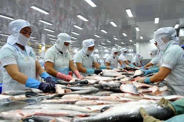 Tra fish processing for export (Photo: VNA) Tra fish processing for export (Photo: VNA)