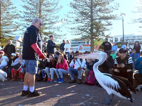 The tourism promotion program is held in Sydney, Melbourne and Brisbane. The tourism promotion program is held in Sydney, Melbourne and Brisbane.