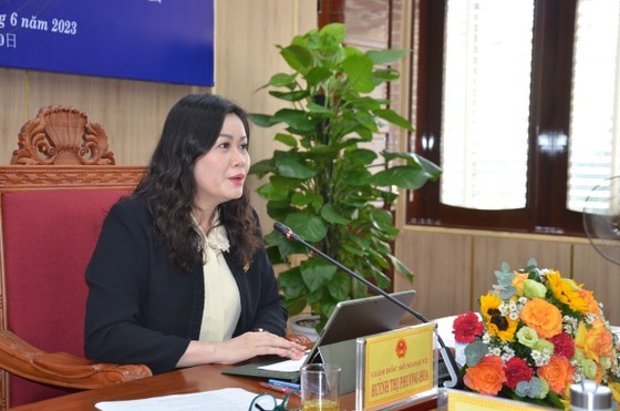 Director of the Provincial Department of Foreign Affairs of Quang Ngai speaks at the conference. Director of the Provincial Department of Foreign Affairs of Quang Ngai speaks at the conference.
