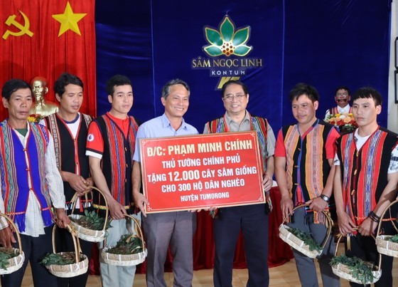 Prime Minister Pham Minh Chinh presents 12,000 ginseng seeds to 300 poor households on his visit to Kon Tum Province