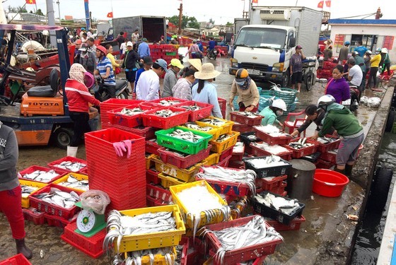 Seafood origin monitoring in the Paracel Islands and seafood output in Thuan An Port, Thua Thien Hue Province Seafood origin monitoring in the Paracel Islands and seafood output in Thuan An Port, Thua Thien Hue Province