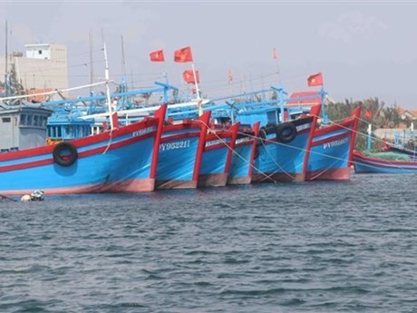 Over the past time, Tien Giang has kept close control of the fleet of fishing boats. Over the past time, Tien Giang has kept close control of the fleet of fishing boats.