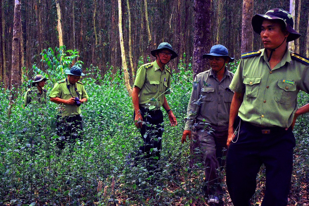 Forest rangers frequently patrol in Lung Ngoc Hoang Nature Reserve. 9-luc-luong-kiem-lam-hau-giang-di-tuan-tra-o-lung-ngoc-hoang-5800.jpg.jpg