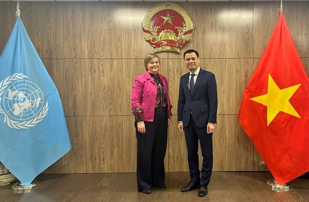 Ambassador Dang Hoang Giang, Vietnam's Permanent Representative to the UN (R), receives UNICEF Representative in Vietnam Rana Flowers (Photo: VNA) rana_flowers.jpeg