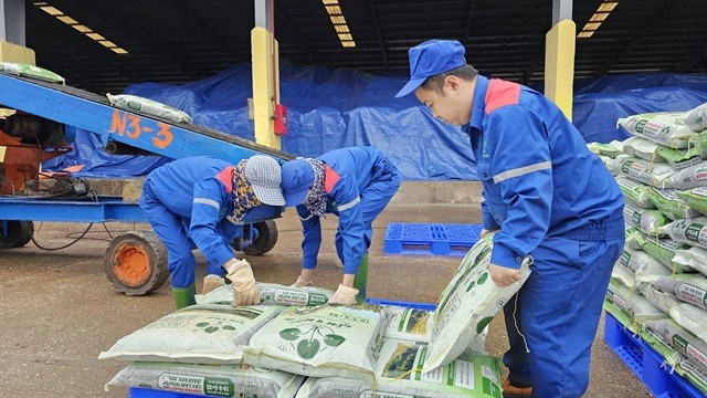 Workers package fertiliser at a plant of Lam Thao Fertilisers and Chemicals JSC. (Photo: VNA) 338385_fertiliser.jpg