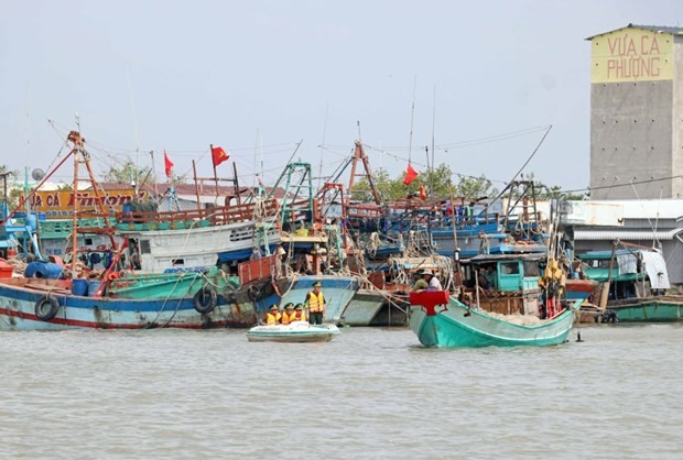 Fishing boats at Rach Goc seaport, Ca Mau province (Photo: VNA) rach_goc_port.jpg
