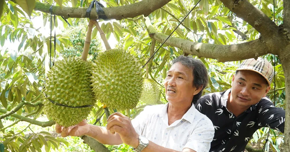 Illustrative photo sr.jpg
