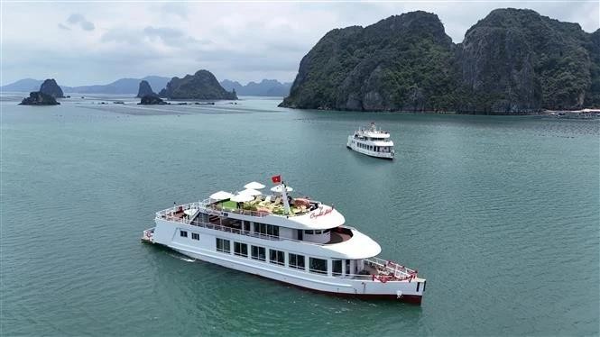 A view of Ha Long Bay from above (Photo: VNA) ha-long-bay1.jpg