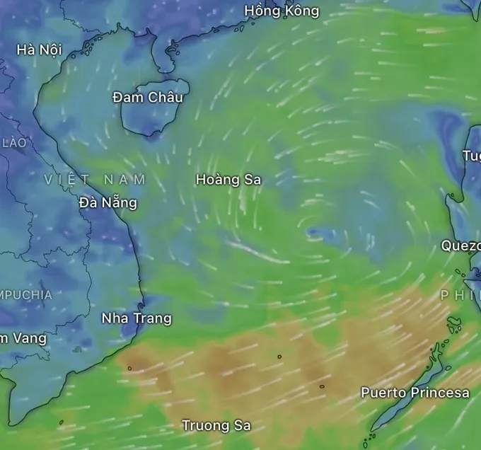 The tropical depression is forecast to form at 9 a.m. on June 10. (Photo: Windy) img-9606-3381-7050.jpeg