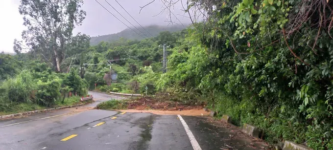 The Management Board of Son Tra Peninsula and Da Nang Tourist Beaches proactively suspend tours to several routes on Son Tra Peninsula. z6697301142554-3ef053cd4881c48a4ff0e7adc89987dd-5732-3139.jpg