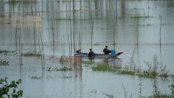 The Mekong River's upstream water levels are rapidly rising. 1-nguoi-dan-thi-xa-tinh-bien-tinh-an-giang-danh-bat-thuy-san-khi-nuoc-tran-dong-6741-6132.jpg