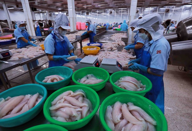 Processed seafood for export (Photo: VNA) 164a0111.jpg